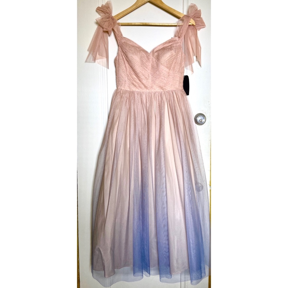 Aidan Ombré Mesh tea Length Dress - Picture 4 of 5